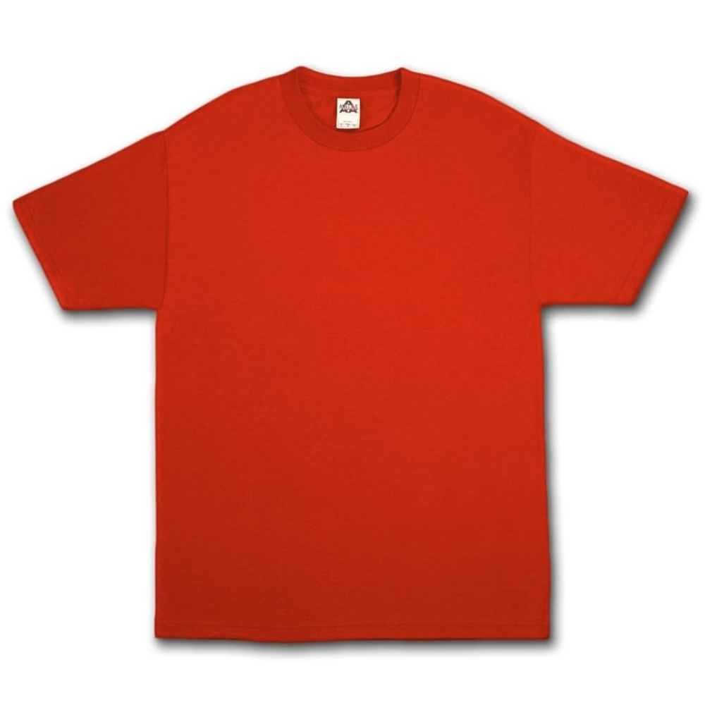 Youth Large Alstyle Apparel & Activewear Unisex Basic T-Shirt Red Crew Neck Tee